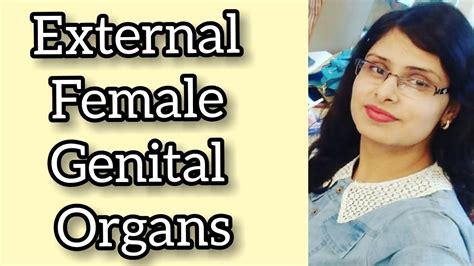 indian vaginas|Category : Hairless female genitalia